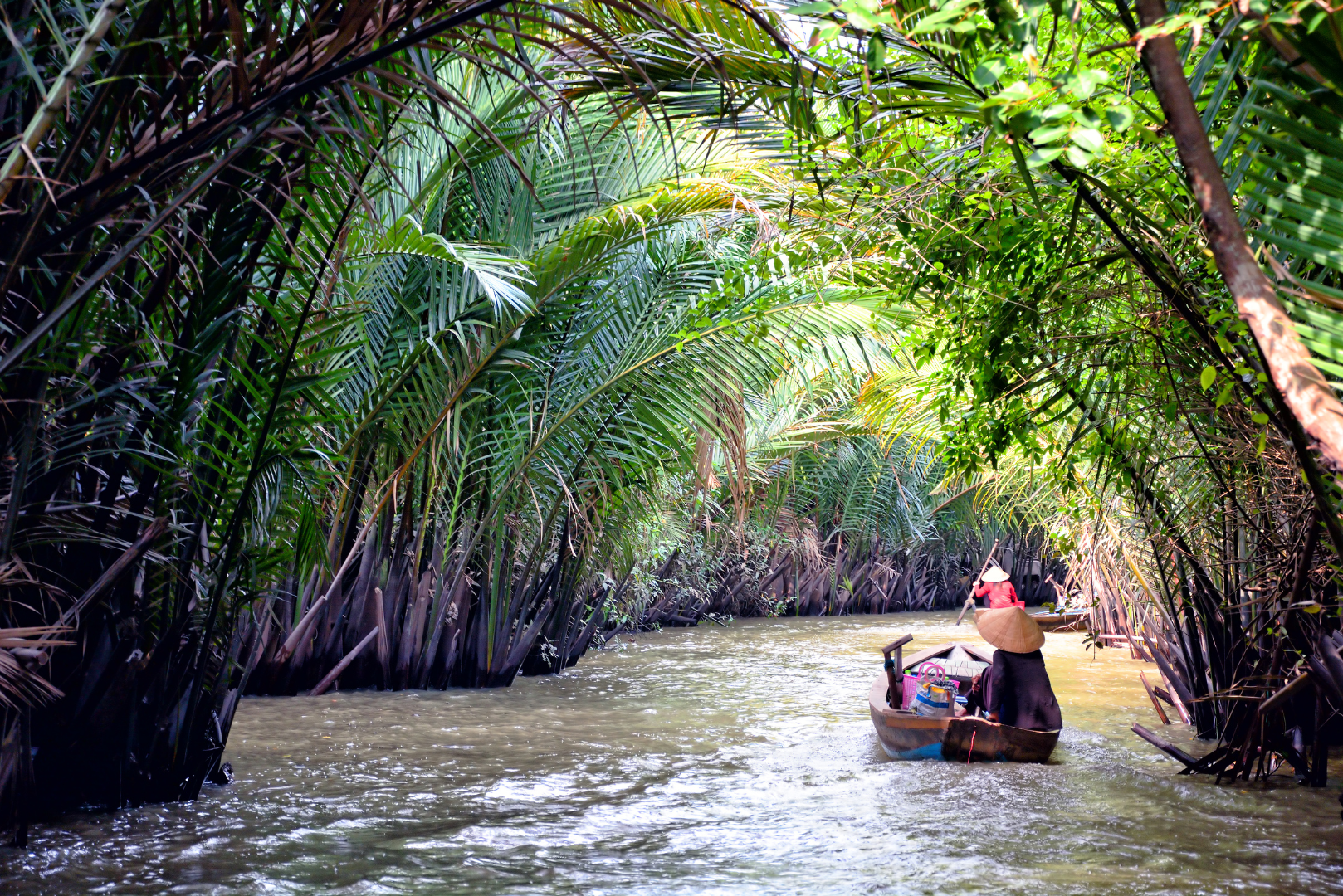 Discover the Mekong Delta: Vietnam's Rice Bowl